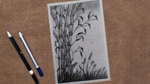 Как нарисовать бамбук | Бамбук, Рисовать, Рисунки