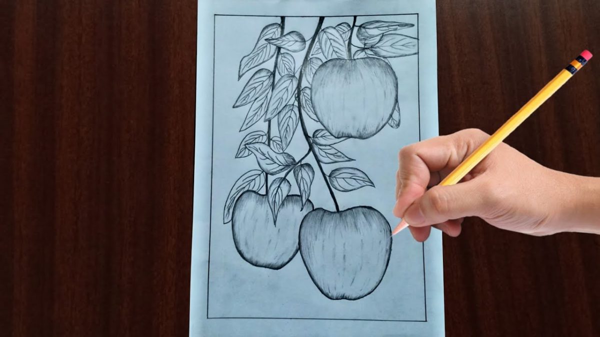 Как нарисовать яблоню карандашом поэтапно