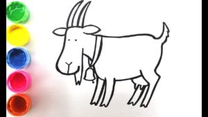 Как нарисовать козу при помощи простого карандаша