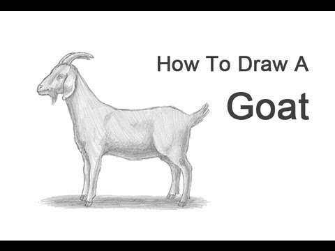 Как нарисовать козу просто