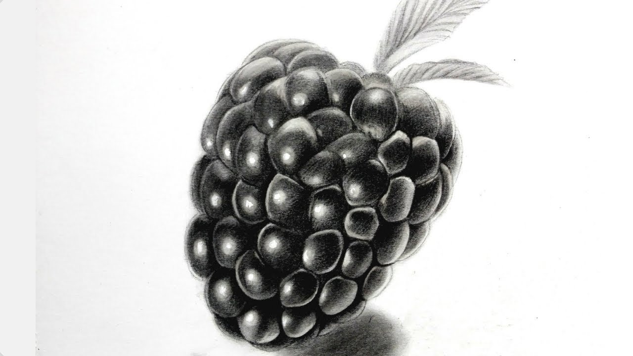 Как нарисовать ягоду малину карандашом поэтапно
