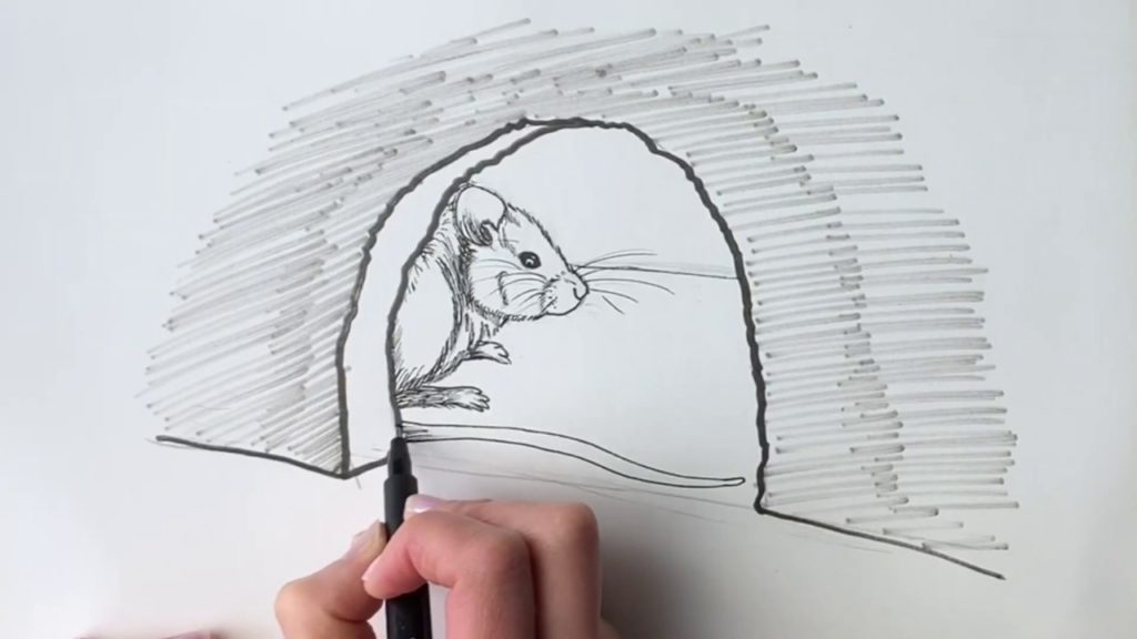 Как рисовать видео мышку
