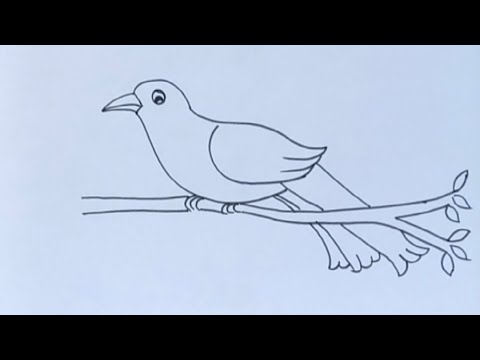 Как нарисовать кукушку карандашом поэтапно