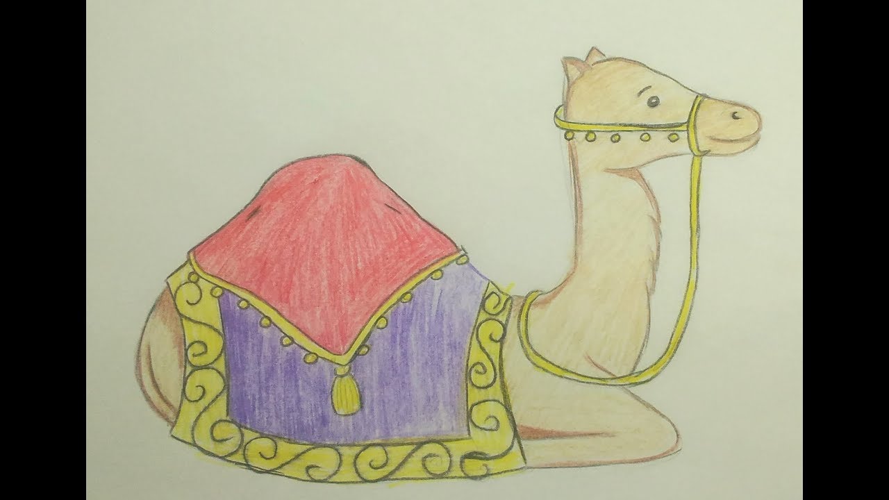 Как нарисовать верблюда, лежащего на песке - поэтапный рисунок цветными  карандашами - Ravlyk
