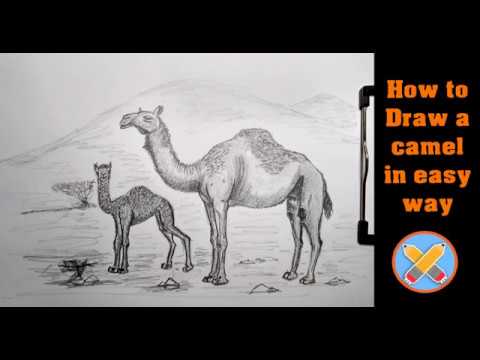 Как нарисовать верблюда простым карандашом - черно-белый рисунок жителей  пустыни - Ravlyk