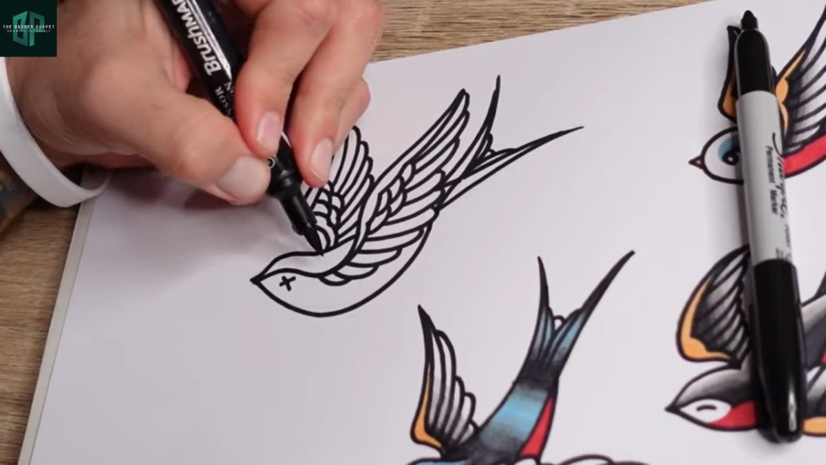 Как нарисовать ласточку карандашом поэтапно